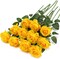 10 Pcs Fake Artificial Roses Silk Flowers with Stems (Yellow) 9.84"D x 7.78"W x 2.36"H